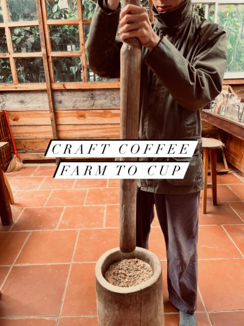 craft coffee from farm to cup
📍Đà Lạt 🌲 Lâm Đồng 🇻🇳

#dalat #dalattrip #dalattravel #vietnamtravel #vietnam