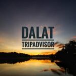 @dalattripadvisor